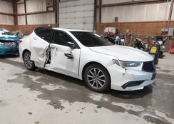 19UUB1F52KA005154: 43862985