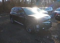 5NMS3CAD0LH246585: 43863128