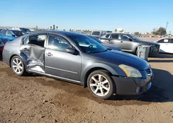 1N4BA41E07C856503: 43863305