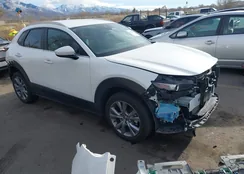 3MVDMBCMXPM523029: 43864459