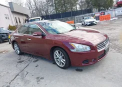 1N4AA5AP3AC834621: 43863571