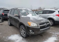 JTMZF31V495003906: 43864831