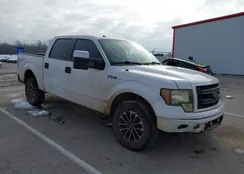 1FTFW1EFXEFC82874: 43866262