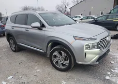 5NMS2DAJ2MH352150: 43866338