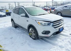 1FMCU9GD7JUC57256: 43865725