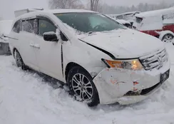 5FNRL5H69DB062556: 43866740