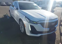 1G6DW5RK7P0118349: 43869155