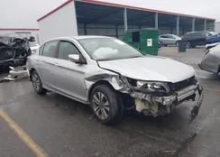 1HGCR2F34DA046559: 43869166