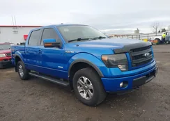 1FTFW1ET9DKF05286: 43870285