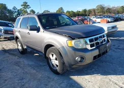 1FMCU9D70BKB98983: 43871406