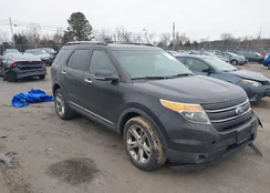 1FM5K8F88FGC02768: 43870785