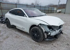 3FMTK2SUXNMA30335: 43871892