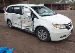 5FNRL5H6XHB005532: 43872853