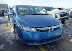 19XFA1F58AE086604: 43873884