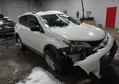 JTMBFREV8FJ041429: 43874391