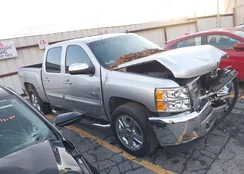 3GCPCSE09DG219762: 43874441