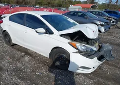 KNAFX4A61F5417667: 43875192