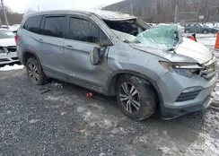 5FNYF6H33JB052356: 43874647