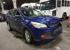 1FMCU0F76EUE01019: 43876189