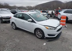 1FADP3F25GL357521: 43876996