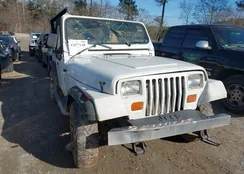 1J4FY19P3RP455674: 43877148