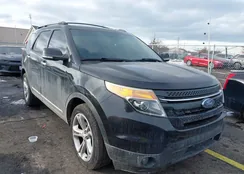 1FM5K7F82EGA31976: 43877323