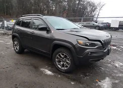 1C4PJMBN4PD116395: 43877386