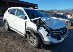 KM8J3CA46HU479409: 43880273