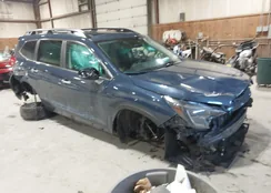 4S4WMAWD7R3417556: 43881491