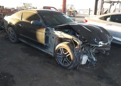 1ZVBP8AM8C5227171: 43882679