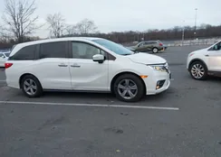 5FNRL6H75KB081827: 43882761