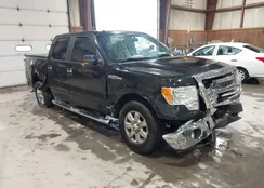 1FTFW1CF5EKD51481: 43885299