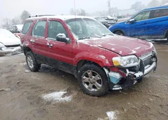 1FMYU02ZX5KB43354: 43885364