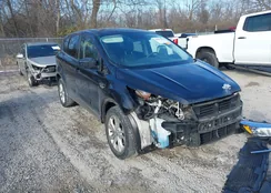 1FMCU9GD8KUC49877: 43884646