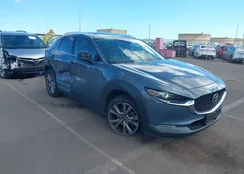 3MVDMBDL9MM257018: 43884784