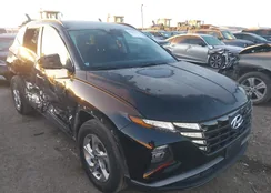 KM8JB3DE9RU294439: 43886195