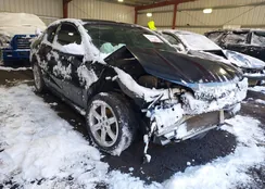 1G8AY12P75Z132893: 43888013