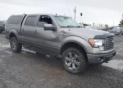 1FTFW1ET1CFB03480: 43888260