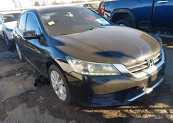 1HGCR3F87FA013639: 43887564