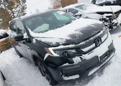 5FNYF6H2XMB032150: 43889950