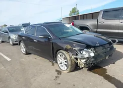 1N4AA5AP5BC825534: 43890263