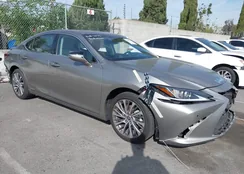 58ADA1C11MU008667: 43889442