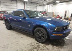 1ZVFT80N175346564: 43891312