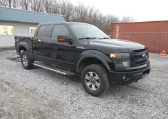 1FTFW1EF1DKF29818: 43891402