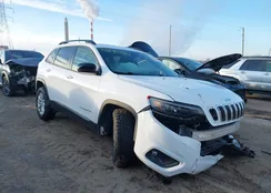 1C4PJMMN2ND541365: 43890633