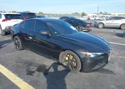 ZARFAMAN2L7634985: 43891513