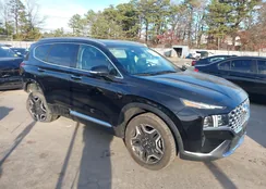 5NMS4DAL7PH484529: 43892848