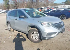 5J6RM4H33FL067338: 43892553