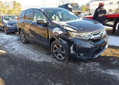 2HKRW2H55KH666701: 43894243