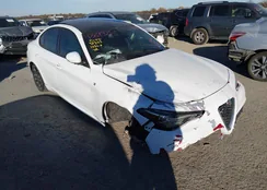 ZARFANBN0N7653140: 43895213